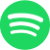 Spotify icon